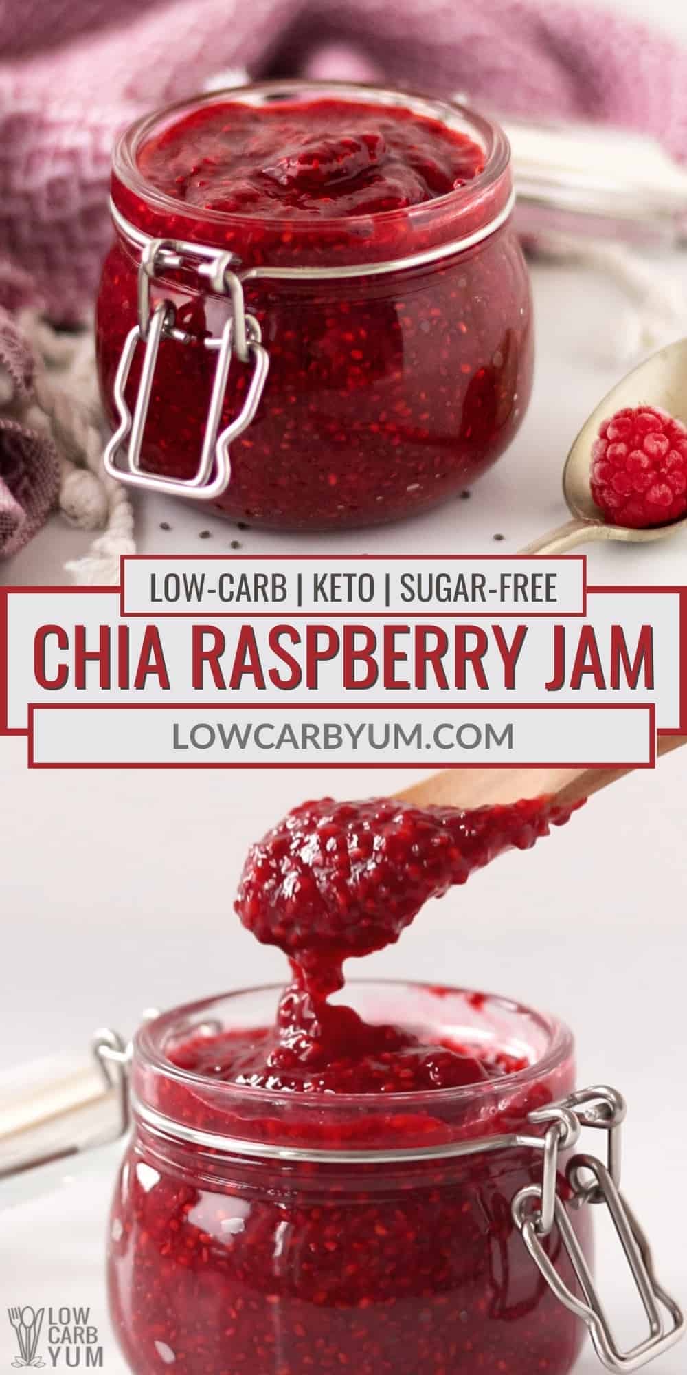 chia sugar free raspberry jam pin
