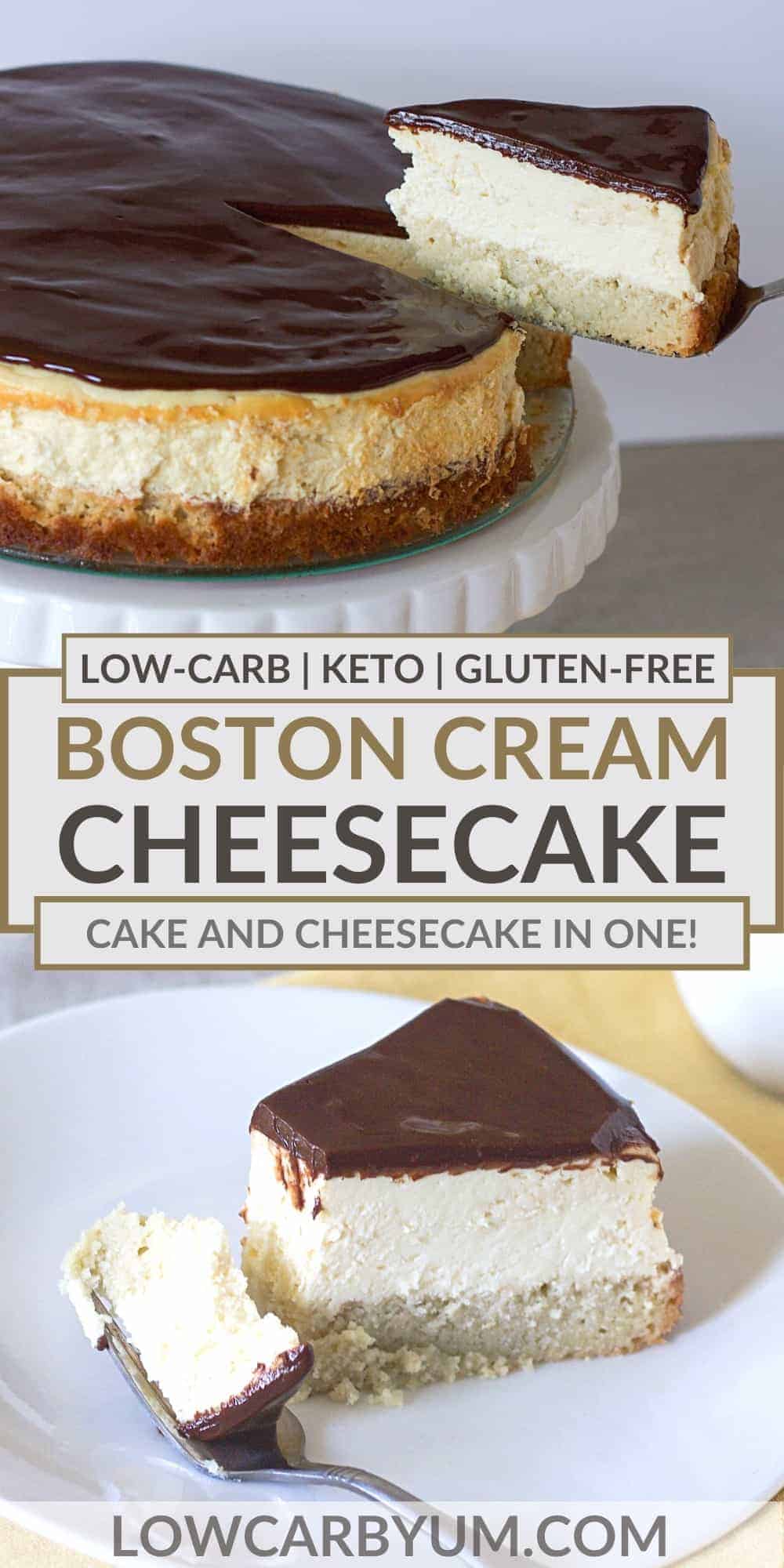 boston cream pie cheesecake pinterest image