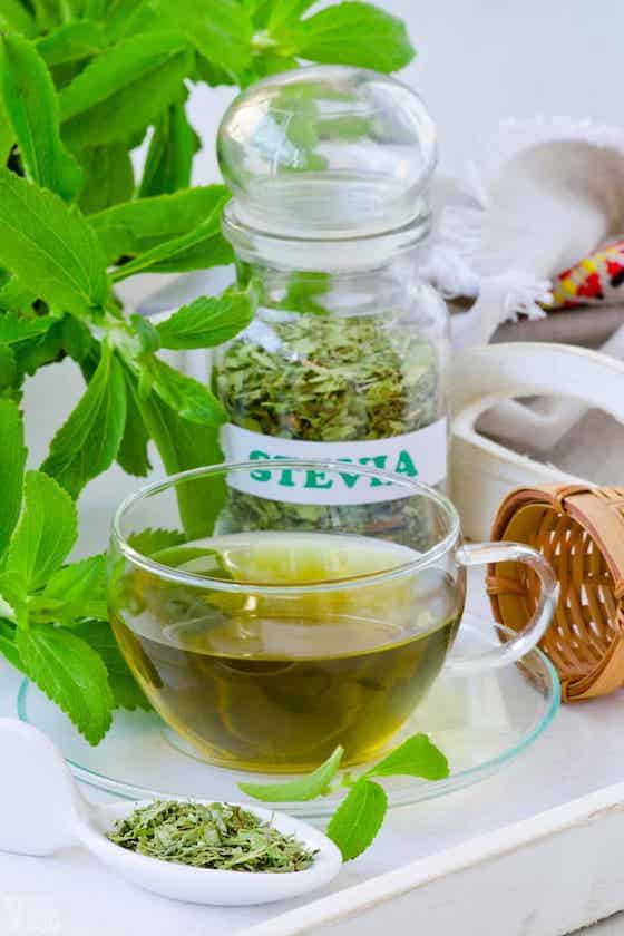 dried stevia tea