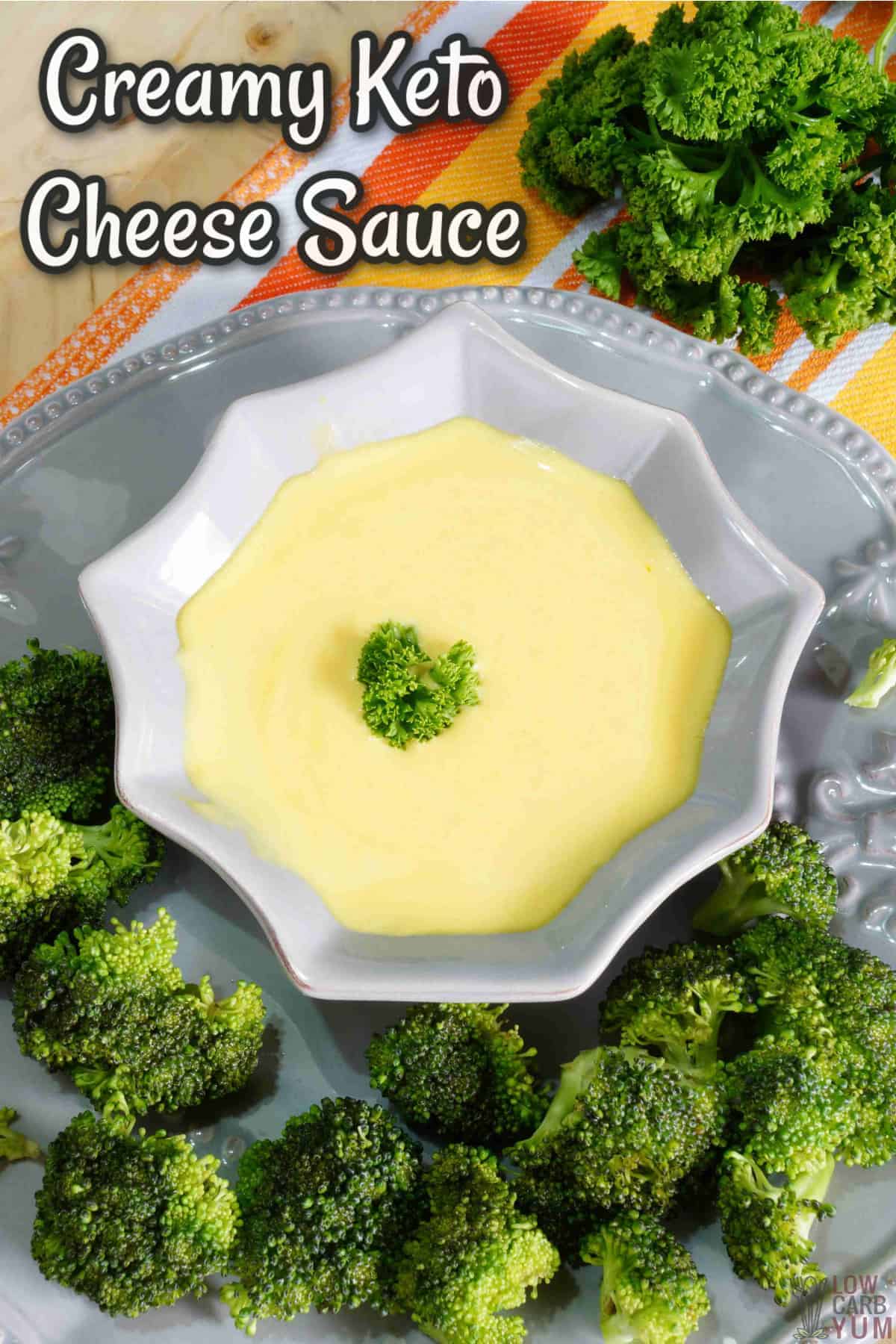 keto cheese sauce cover image