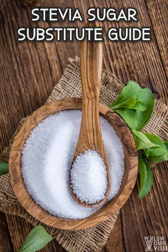 stevia sugar substitute guide cover image