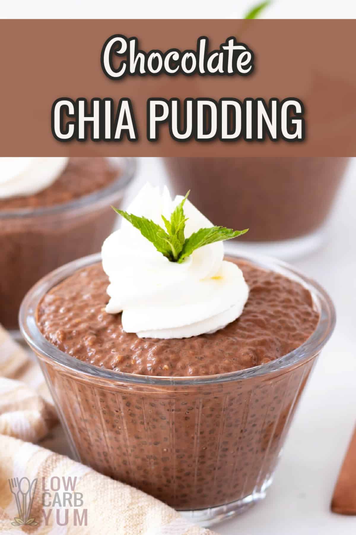 chocolate chia pudding cover