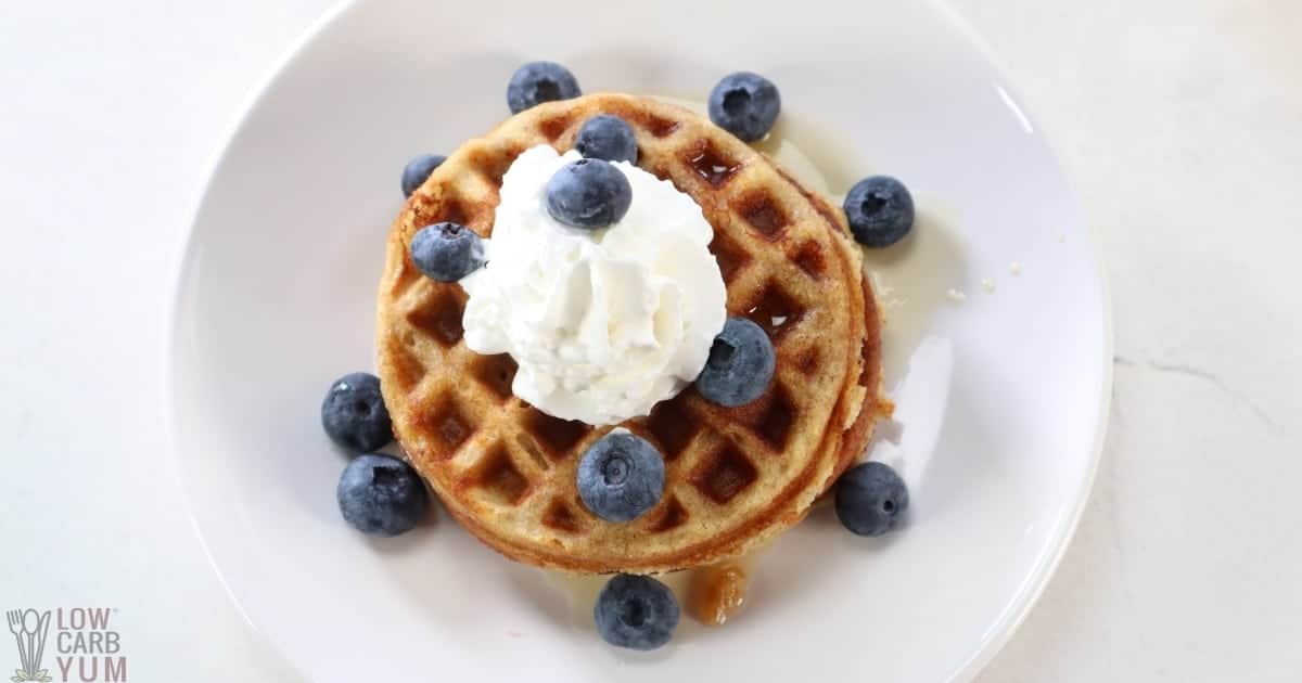 KETO CINNAMON WAFFLES WITH PANCAKE MIX STORY - Low Carb Yum