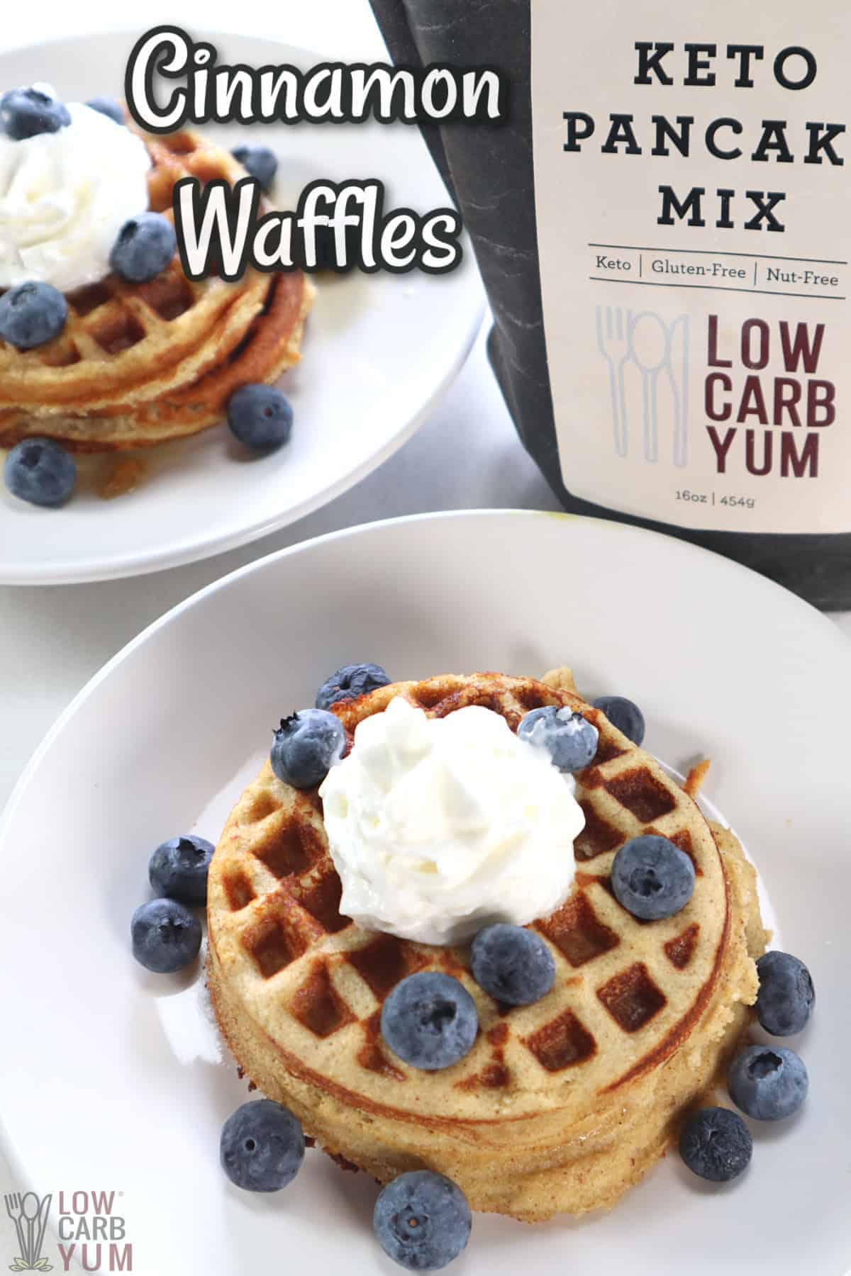cinnamon waffles with pancake mix cover image