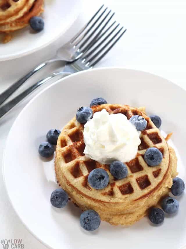 KETO CINNAMON WAFFLES WITH PANCAKE MIX STORY Low Carb Yum