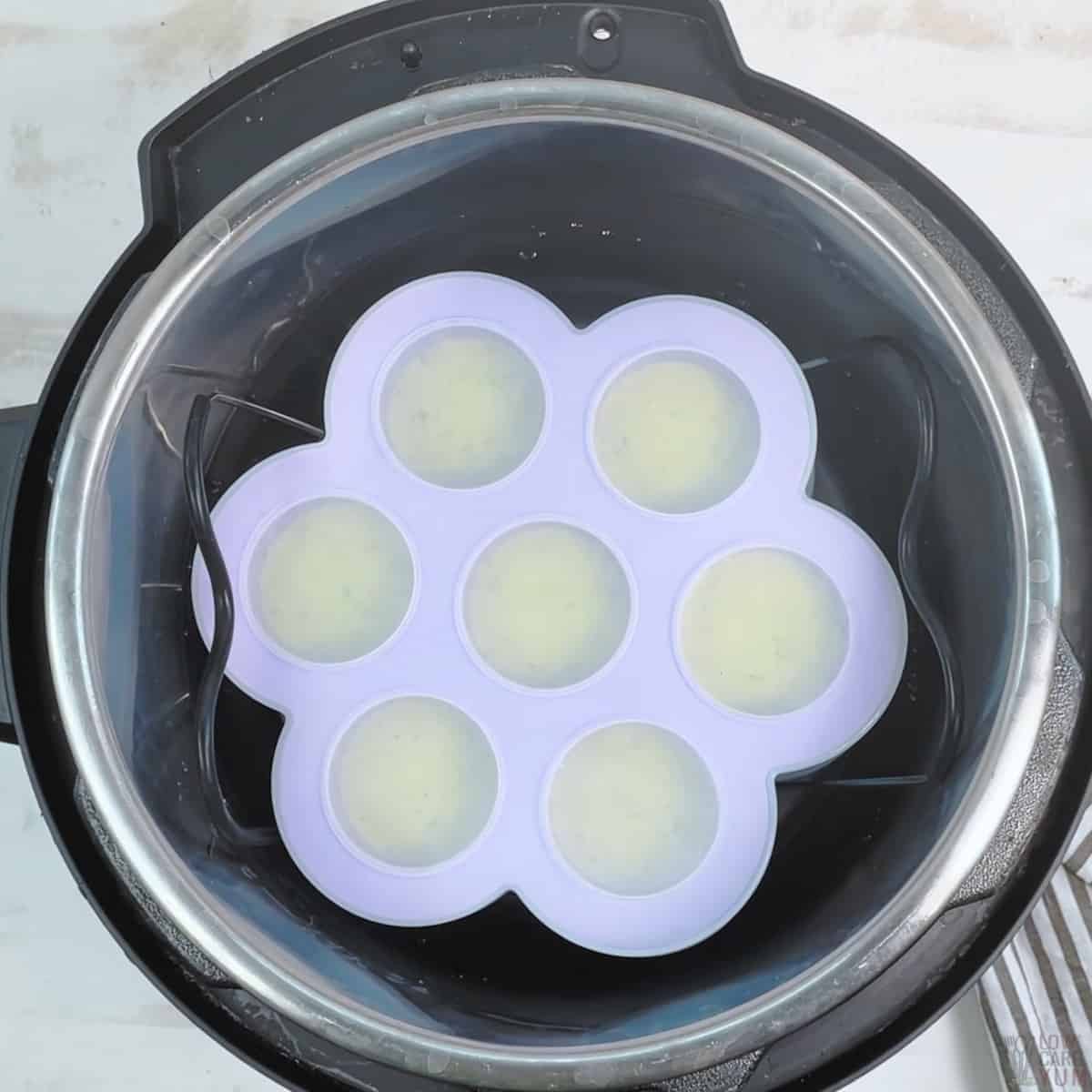 egg bite molds in instant pot
