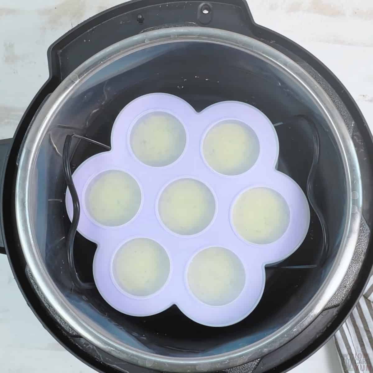 Instant Pot Sous Vide Keto Egg Bites - Low Carb Yum