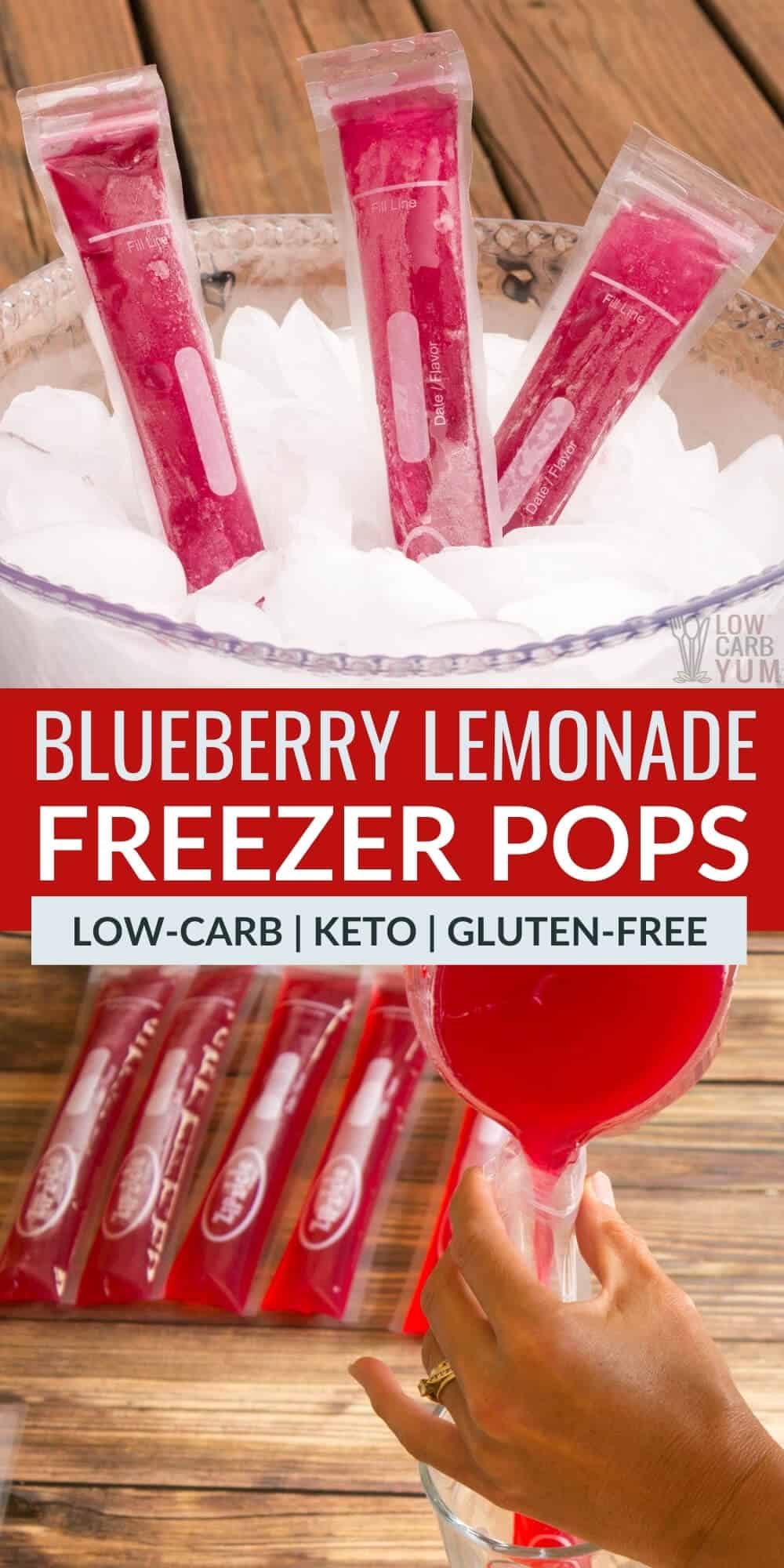 blueberry lemonade freezer pops pinterest image