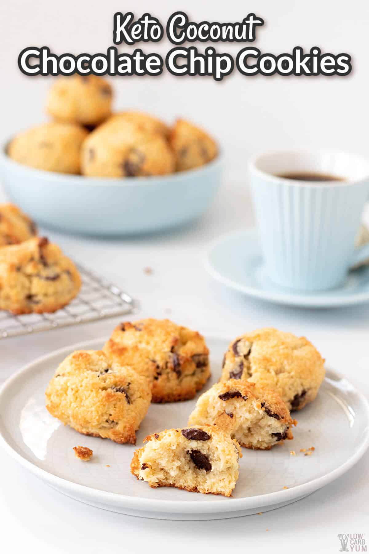 keto coconut chocolate chip cookies recipe cover image