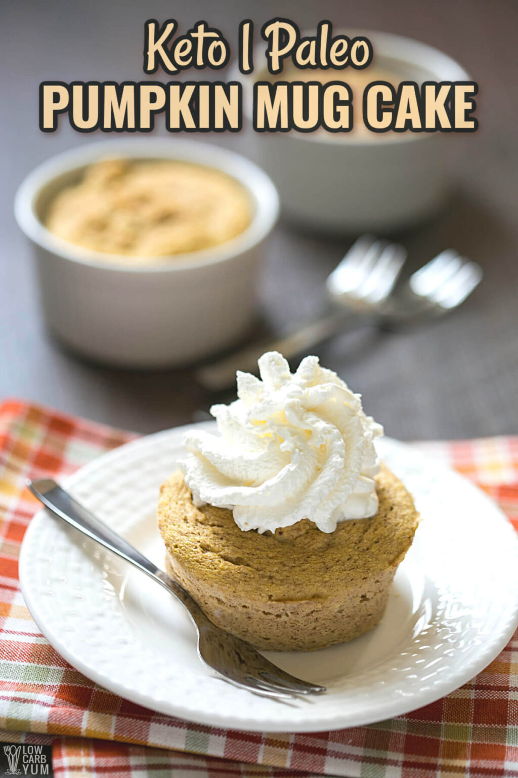 coconut-flour-paleo-pumpkin-mug-cake-low-carb-yum