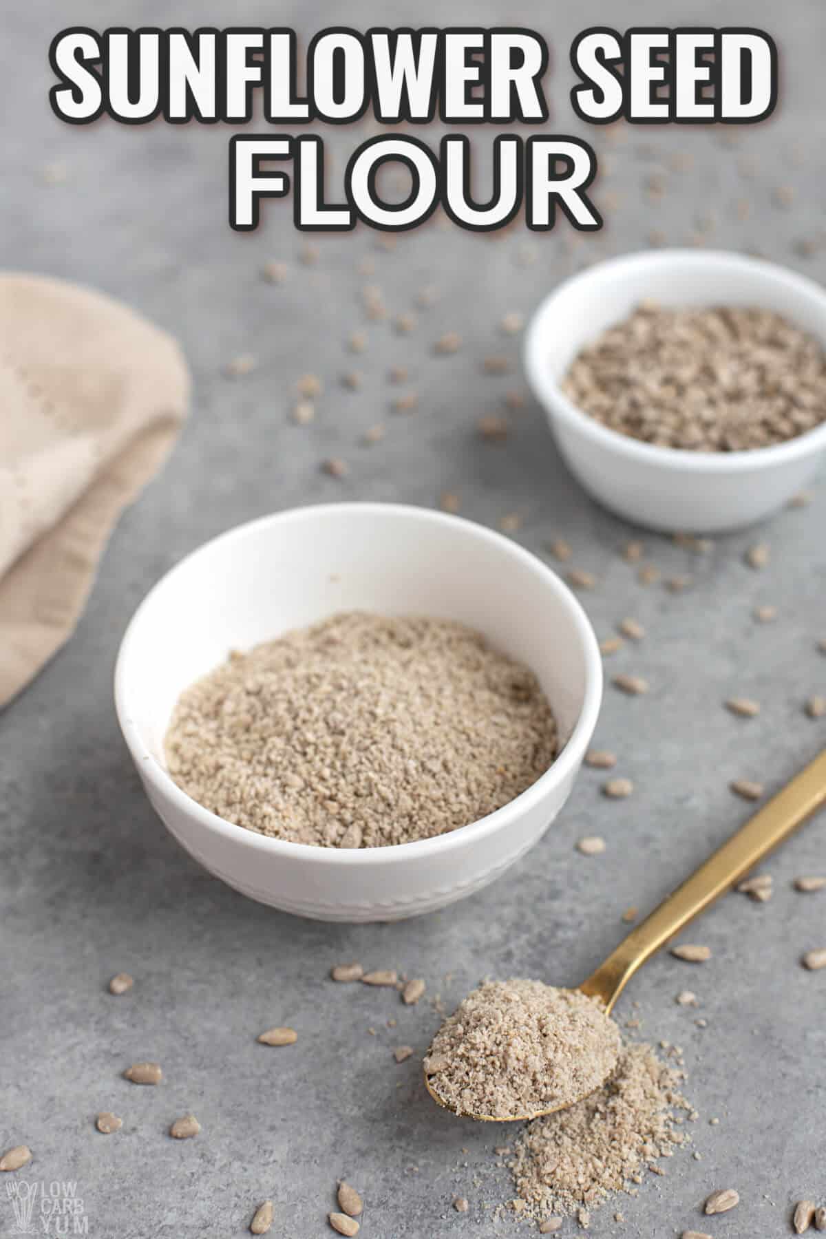 sunflower seed flour cover image