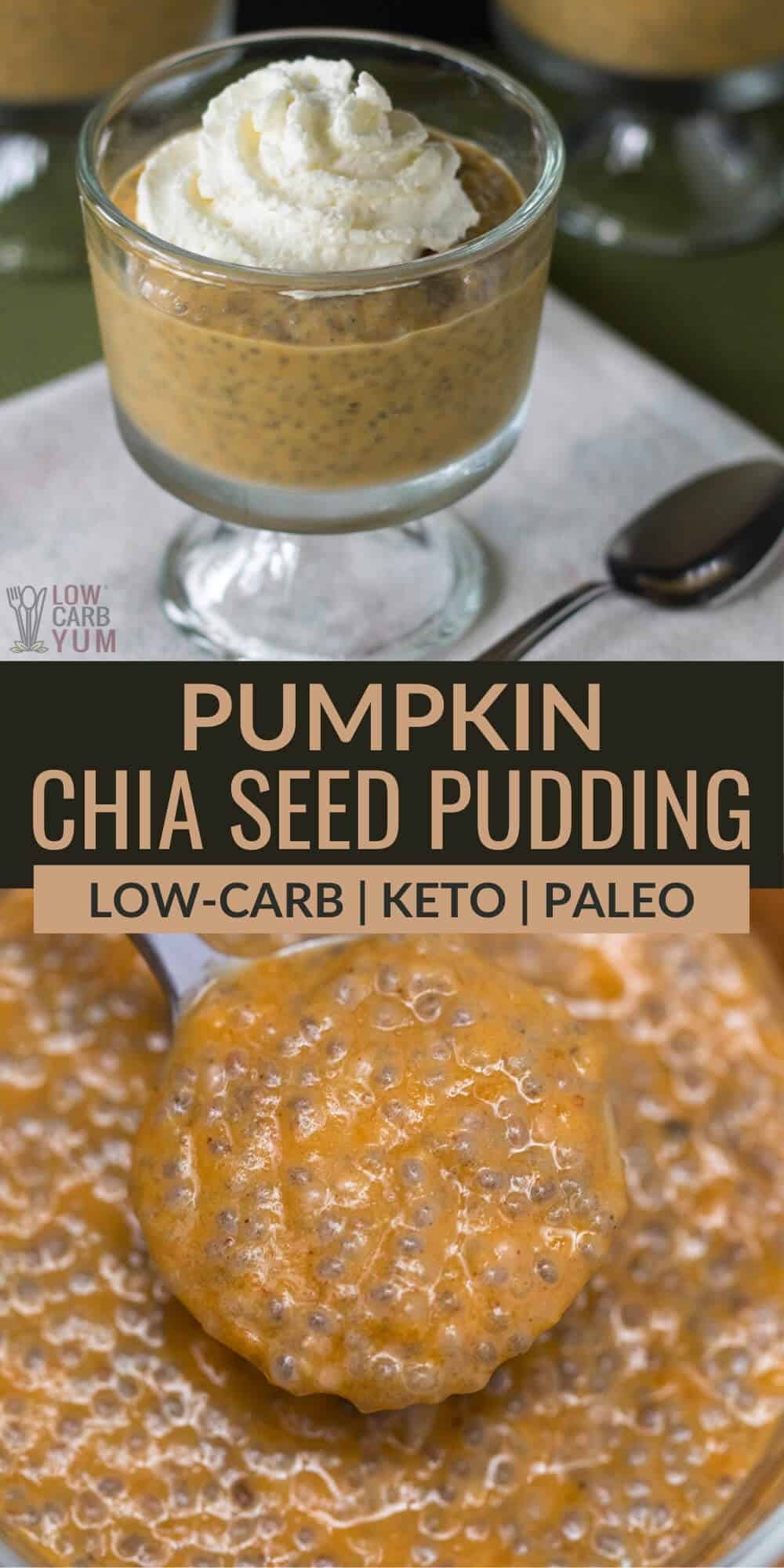 pumpkin chia seed pudding pinterest image