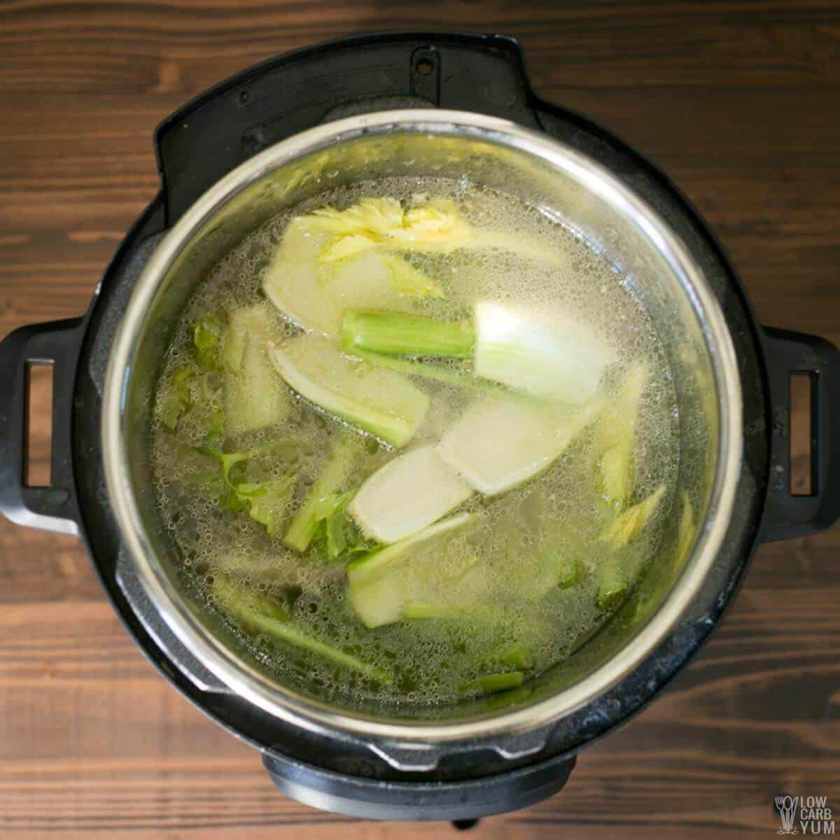 all bone broth ingredient in the instant pot pressure cooker