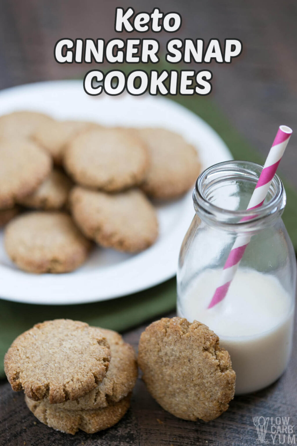 GlutenFree Ginger Snaps Cookies (Keto, SugarFree) Low Carb Yum