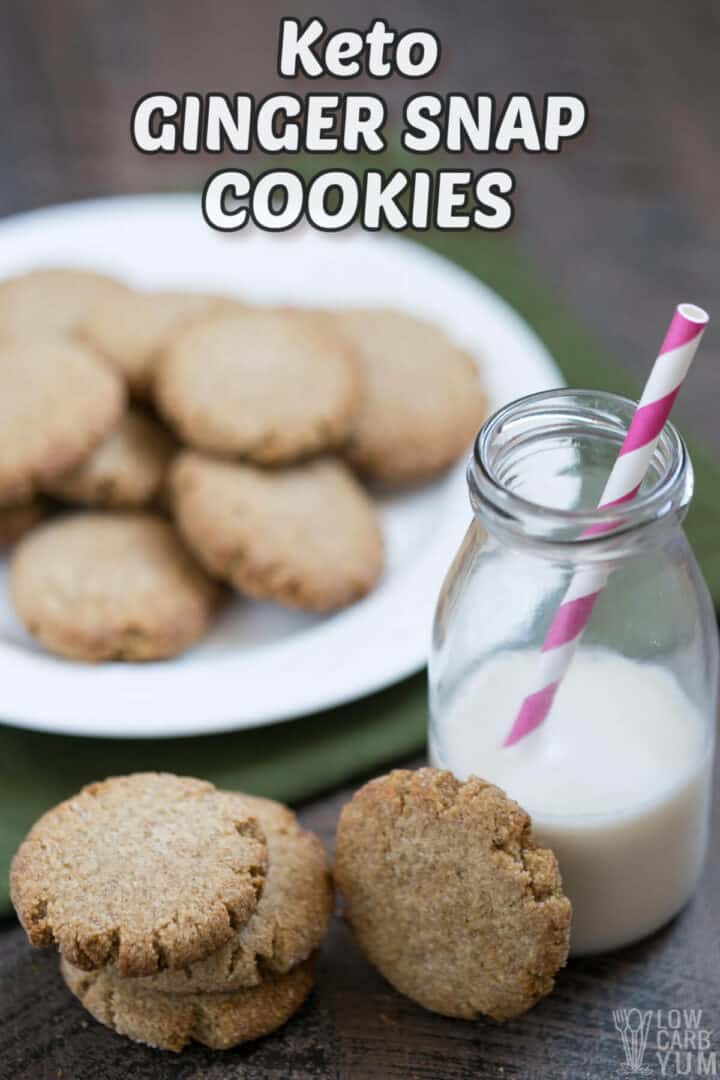 GlutenFree Ginger Snaps Cookies (Keto, SugarFree) Low Carb Yum