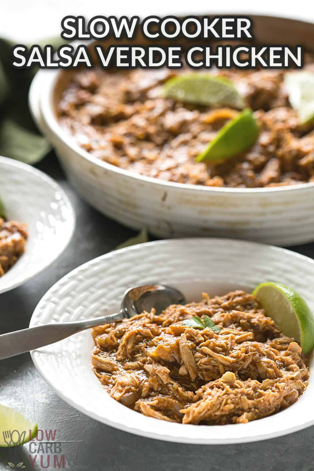 Easiest Salsa Verde Chicken (Slow cooker or Instant Pot) - Skinnytaste