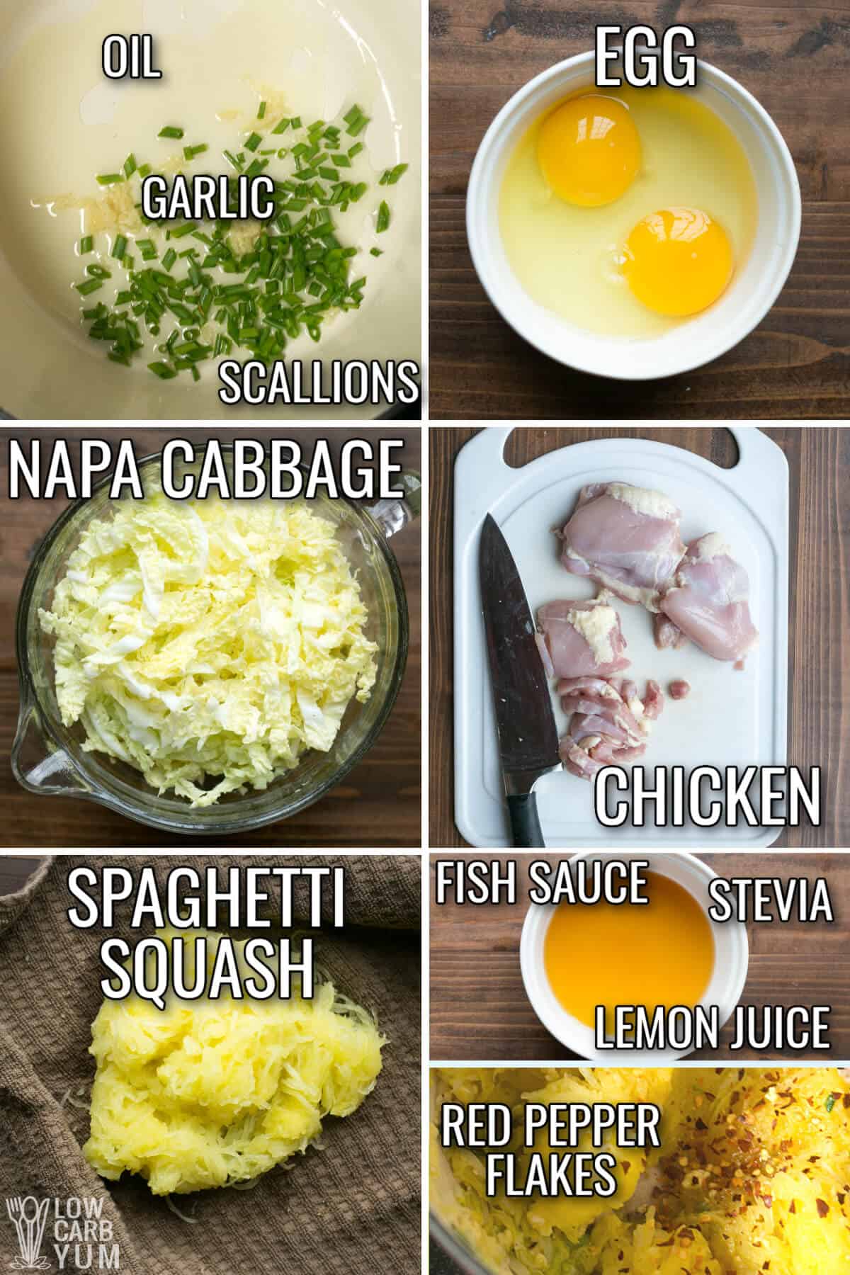 ingredients for spaghetti squash pad thai recipe