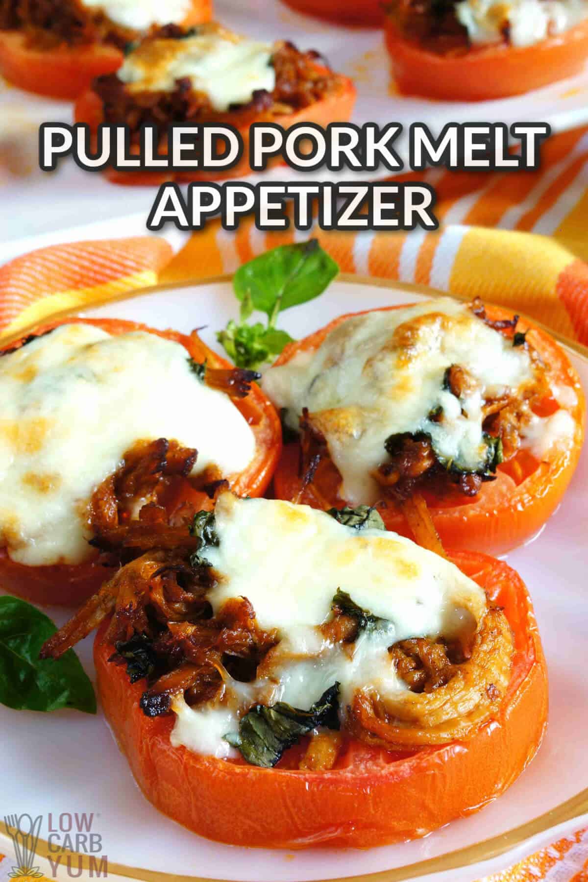 pulled pork melt appetizer recipe image with text overlay