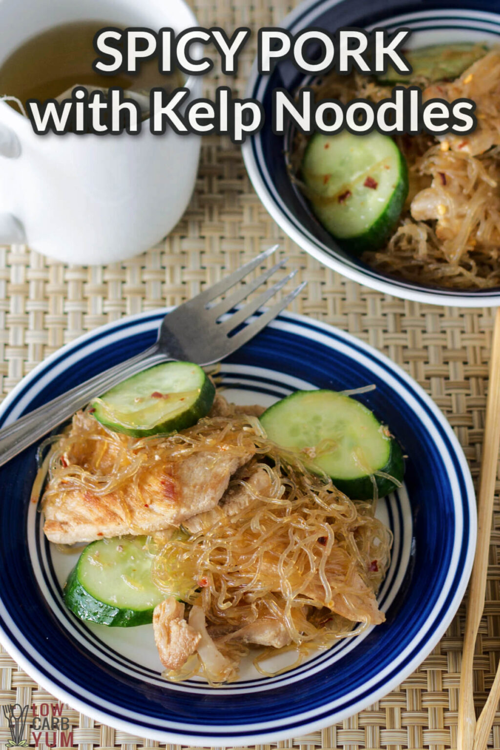 Kelp Noodle Recipe With Spicy Pork Low Carb Yum
