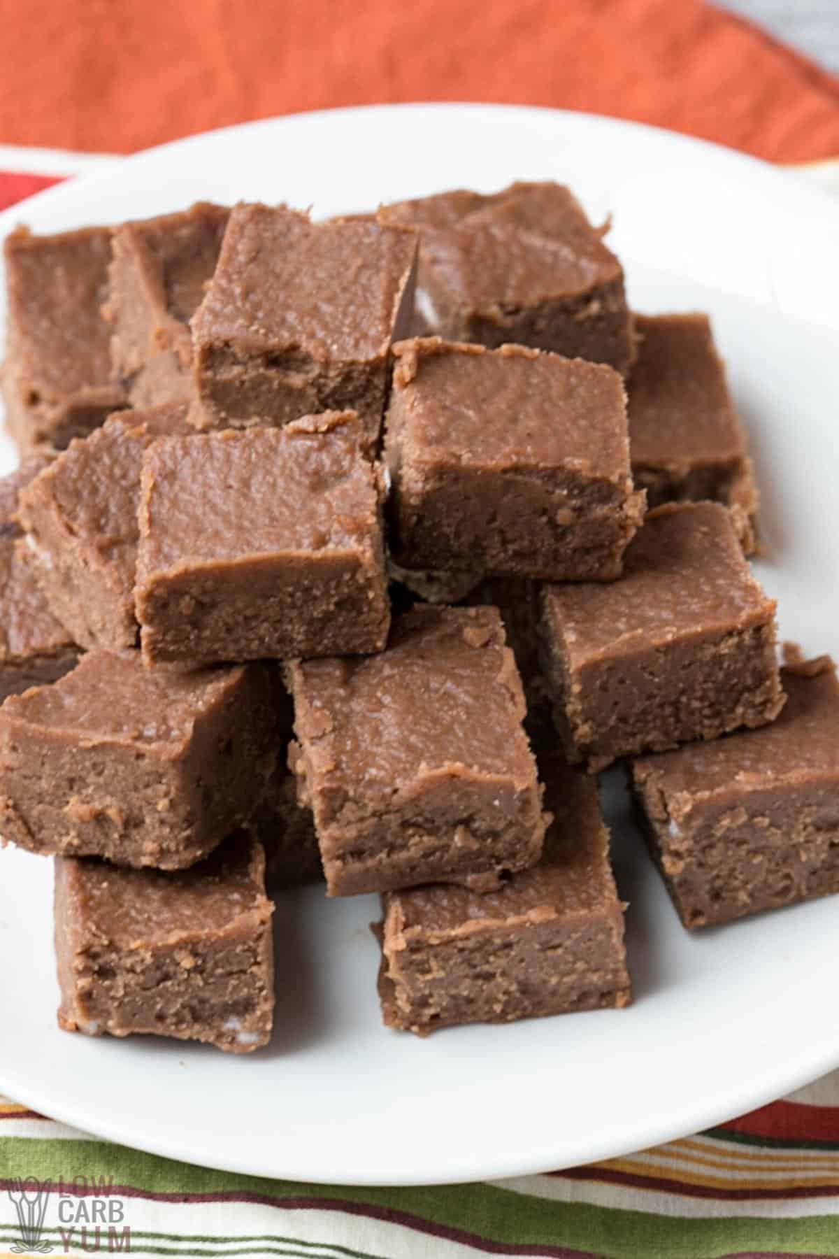 chocolate peanut butter fudge squares on white plate.