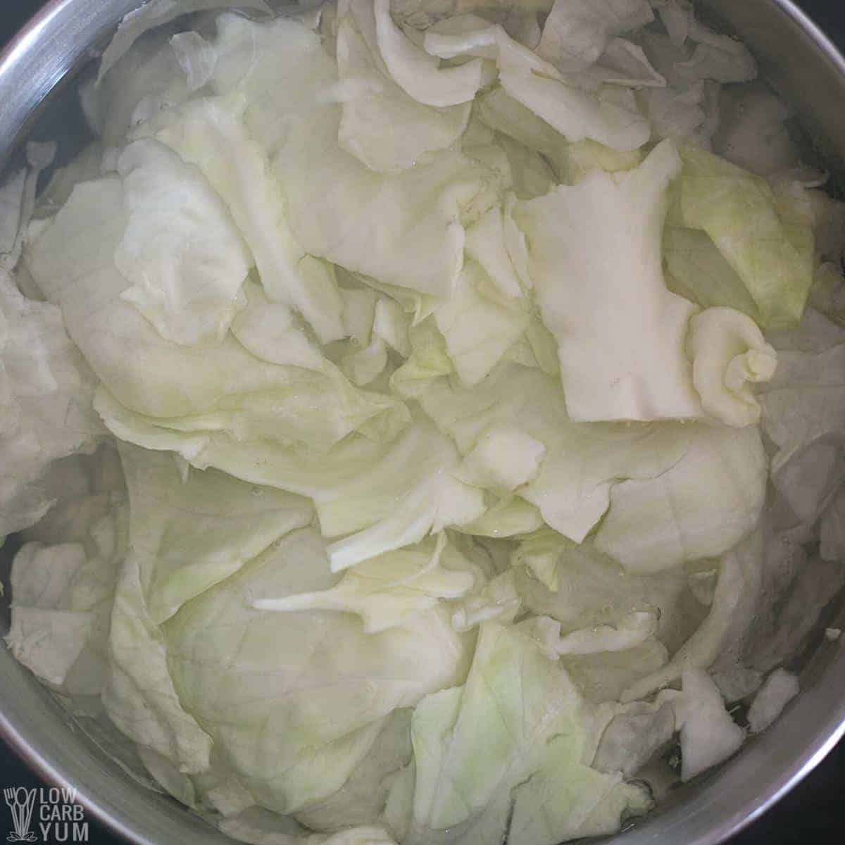 cabbage cooking in pot.