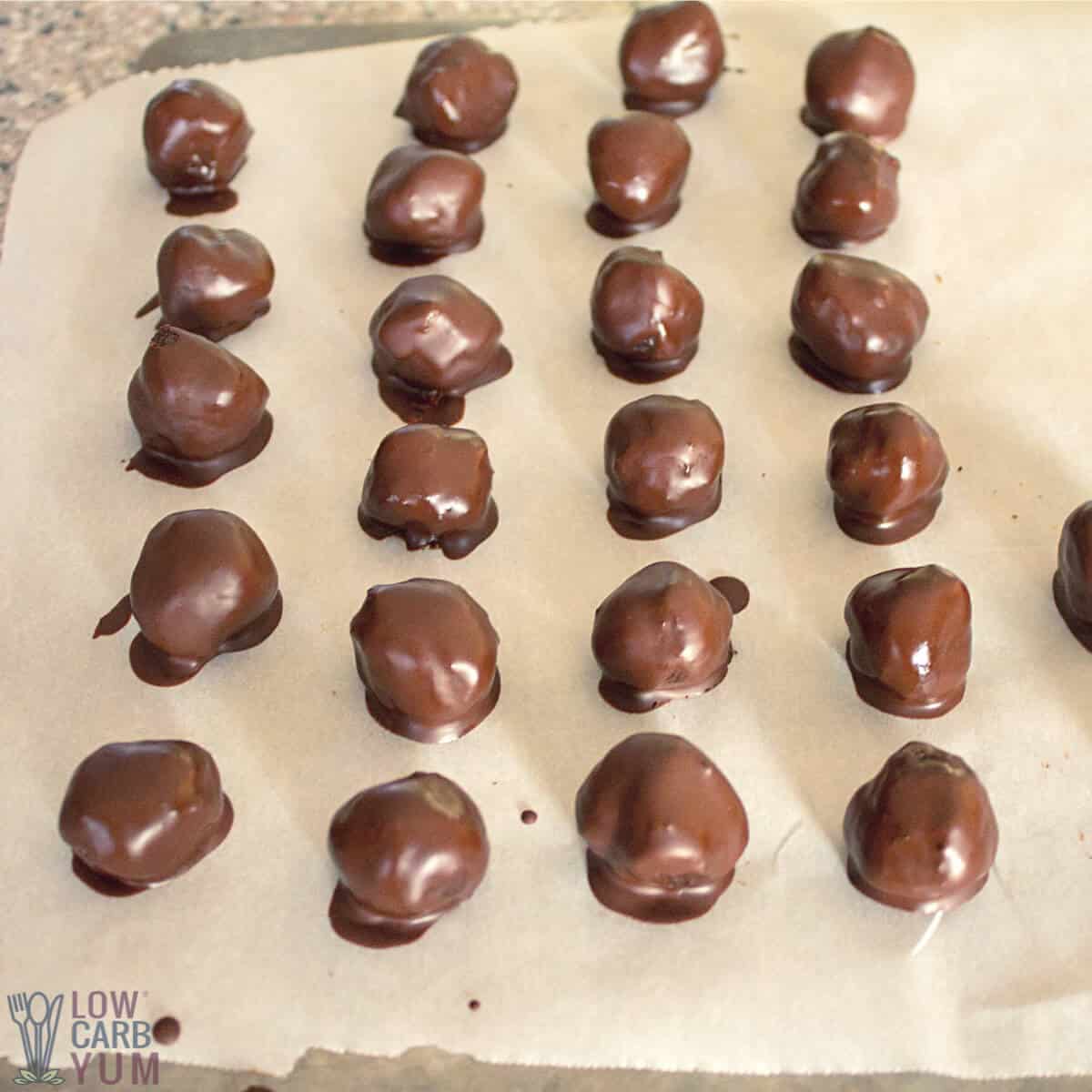 chocolate coated ganache truffles.