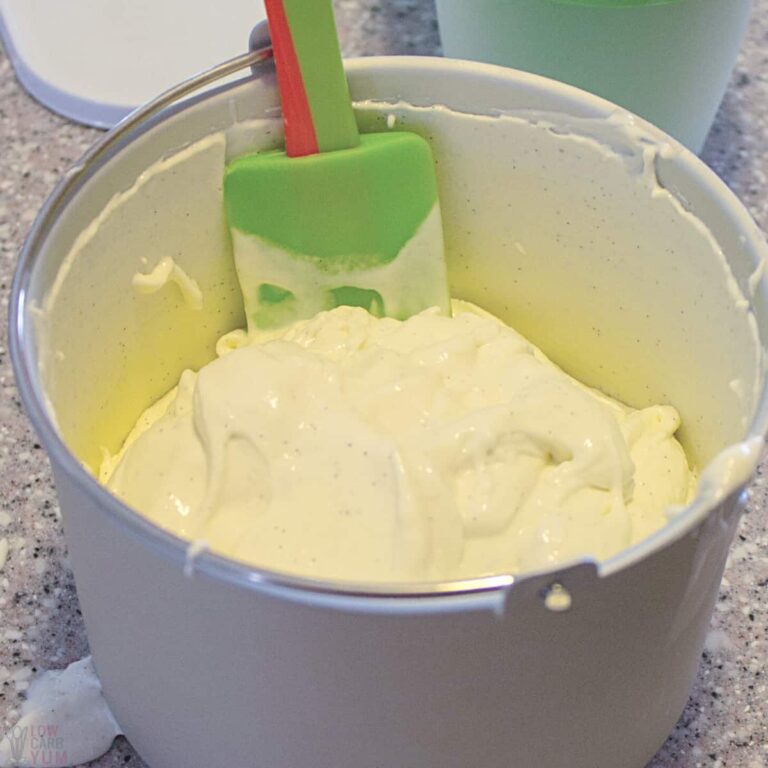 Sugar Free Ice Cream Recipe For Diabetics Low Carb Yum