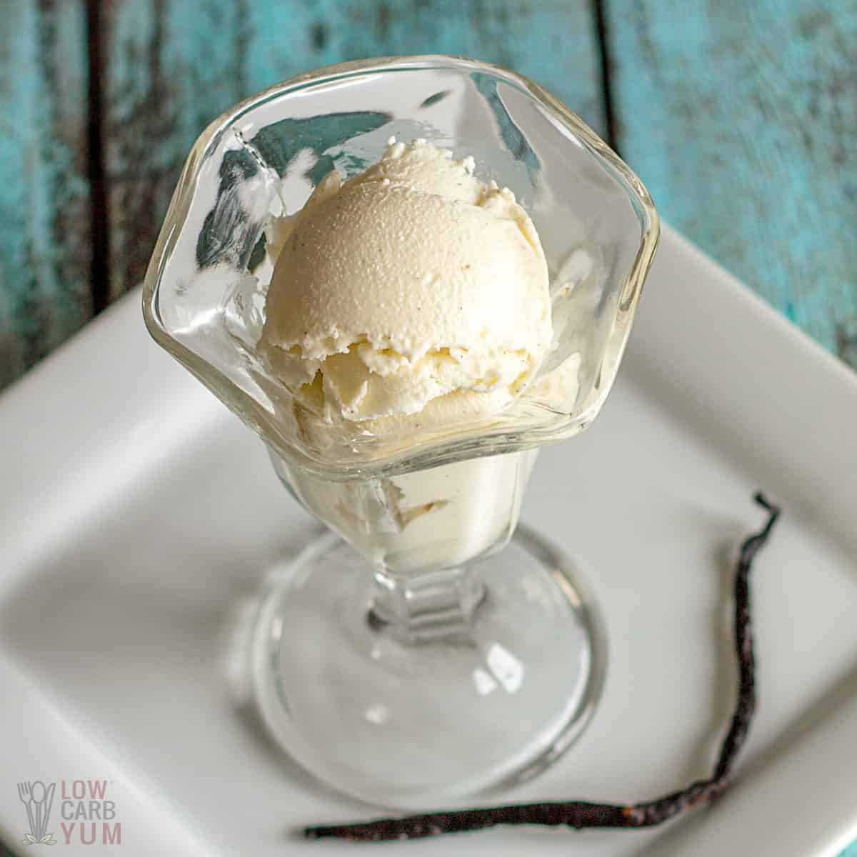 dessert dish with sugar free vanilla ice cream in it.