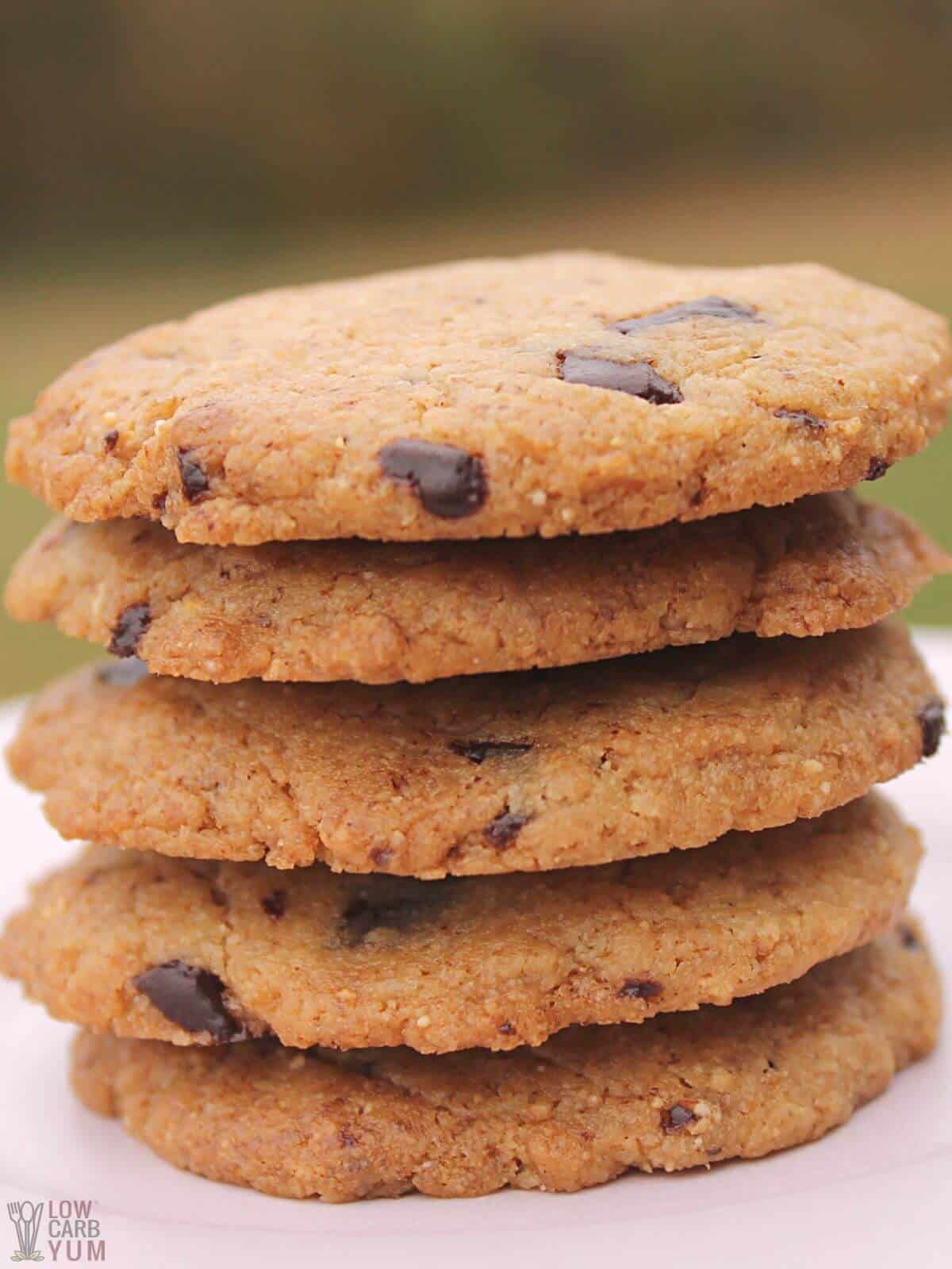 tall stack of chocolate chip walnut cookies.