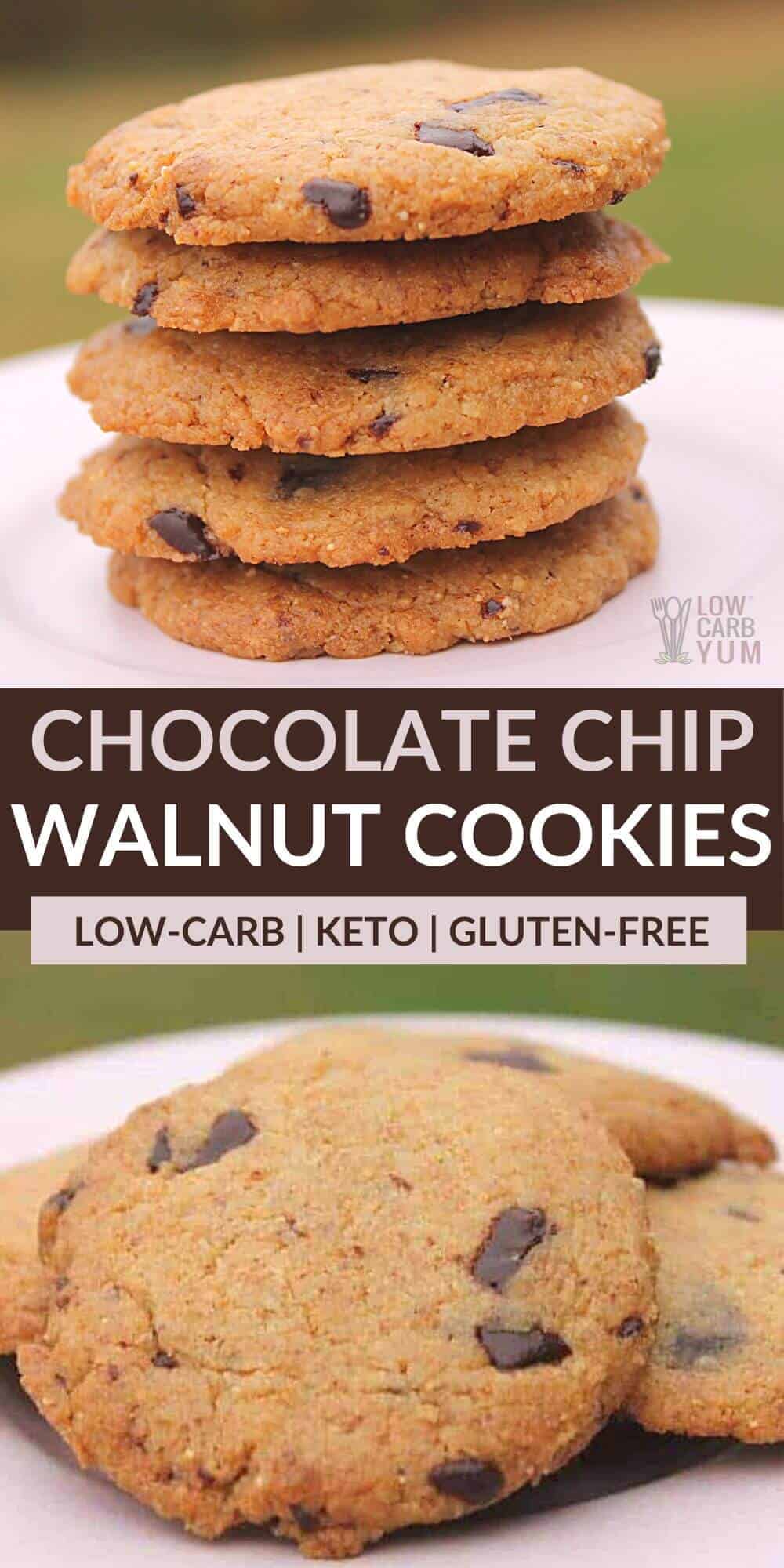 Chocolate Chip Walnut Cookies - Low Carb Yum