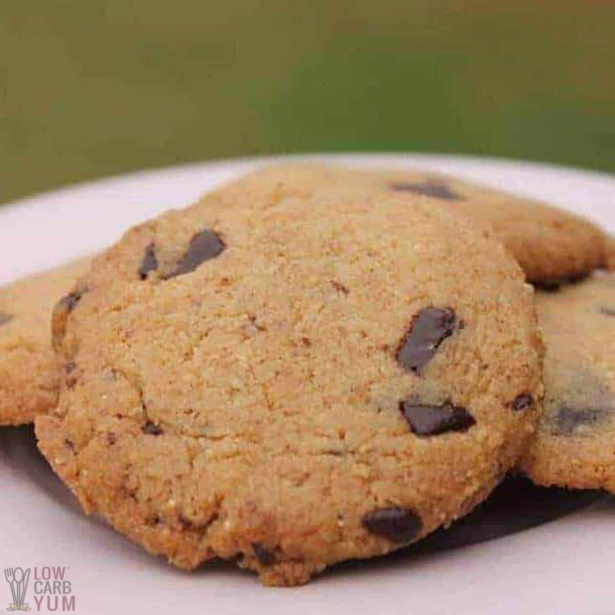 chocolate chip walnut cookies on plate.