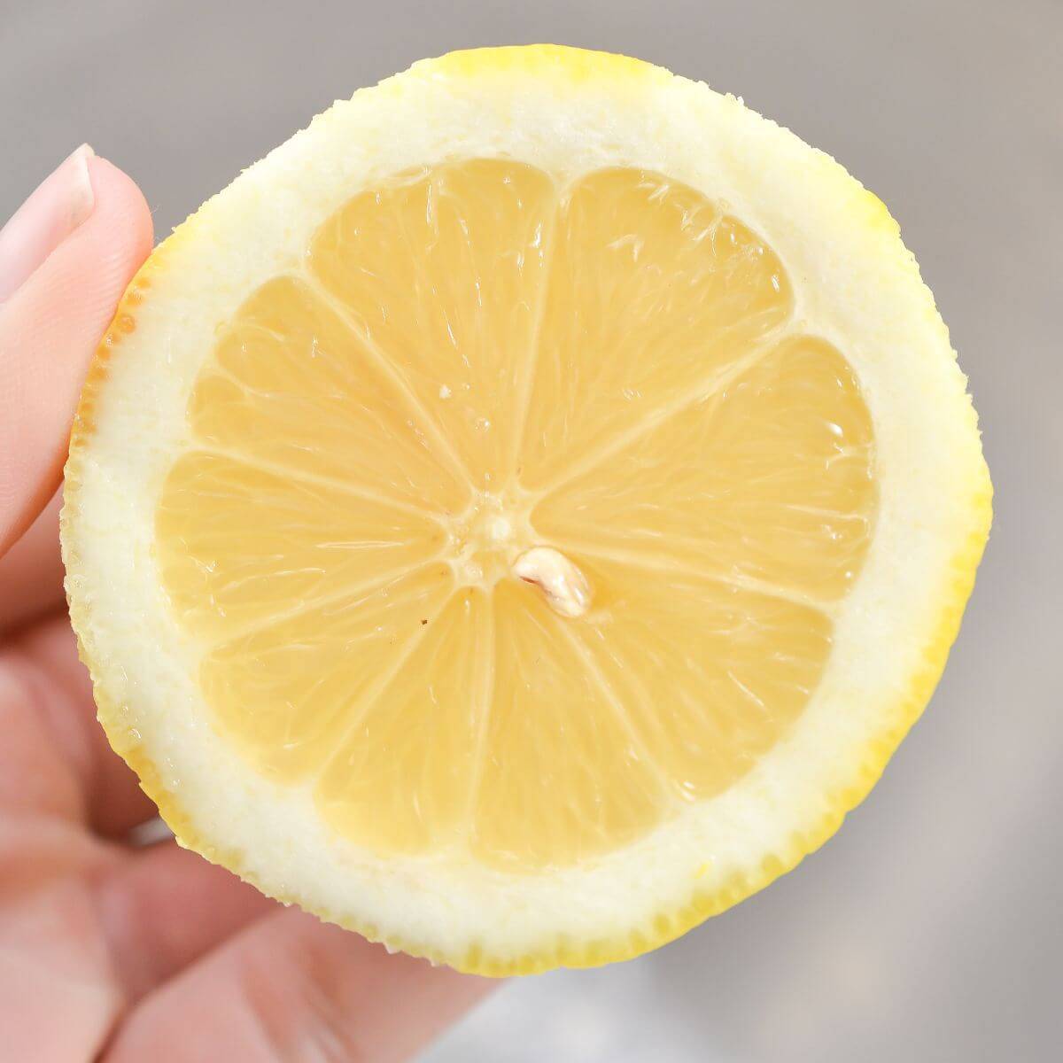 holding round lemon slice.