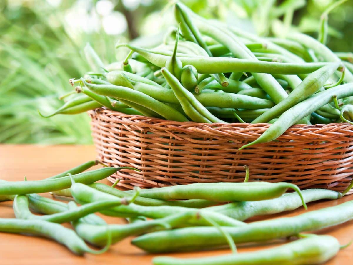 Are Green Beans Keto Approved? - Low Carb Yum