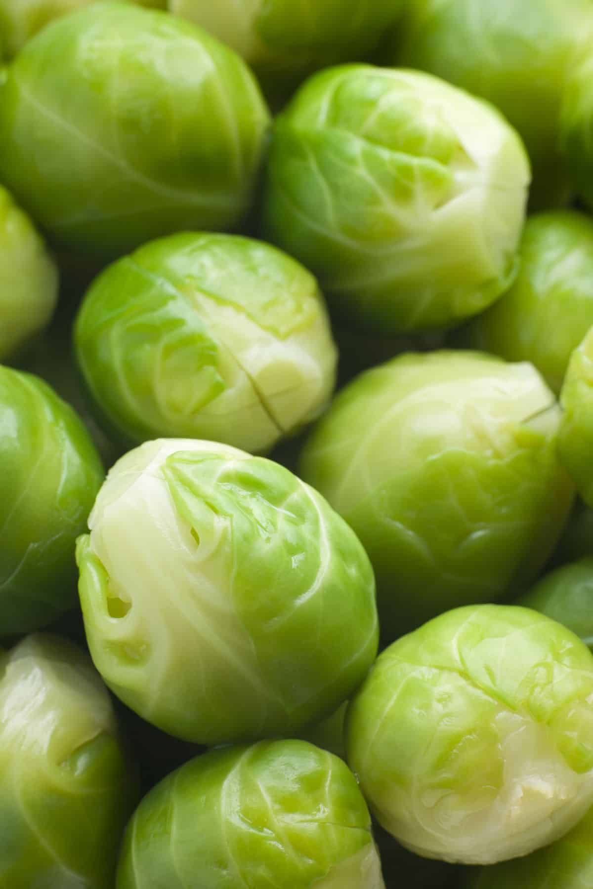 keto friendly brussel sprouts