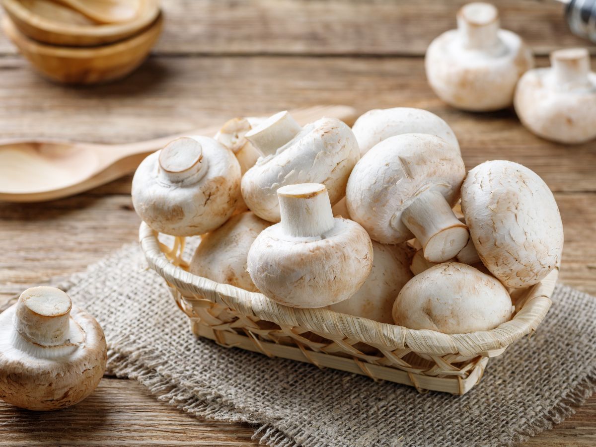 Are Mushrooms Keto-Friendly? - Low Carb Yum