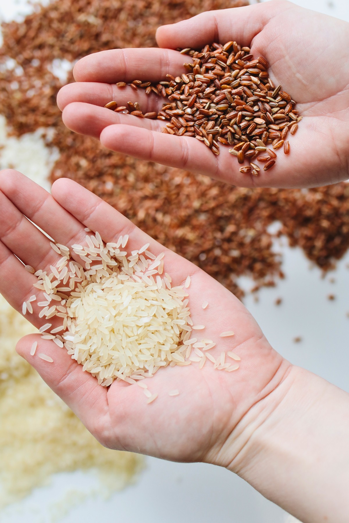 a handful of rice in the palm of each hand 