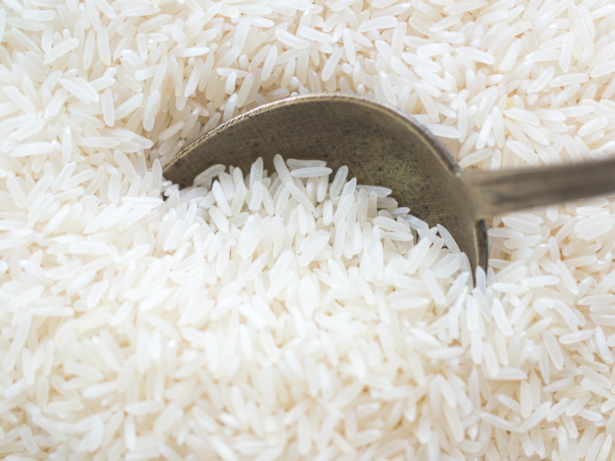 close up of scooping raw white rice