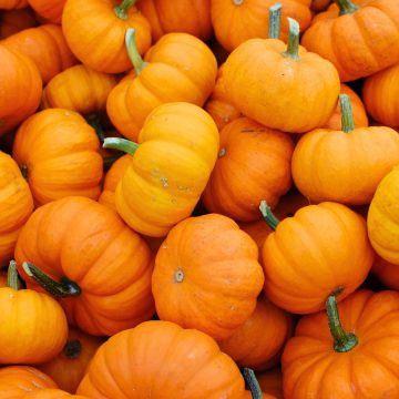 keto-friendly pumpkin featured image
