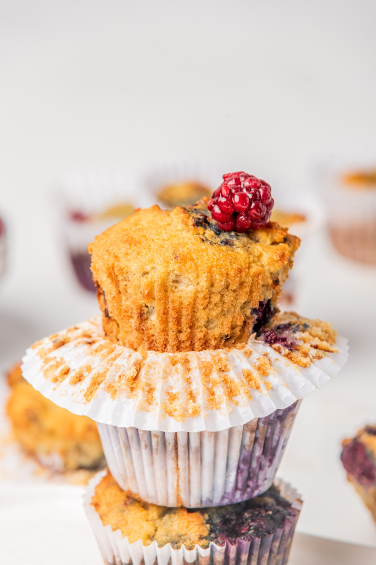 blackberry muffin topped with fresh blackberry