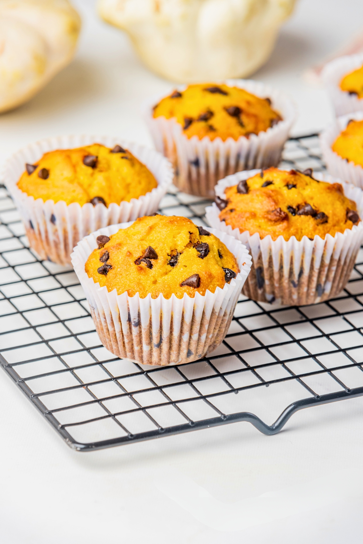 pumpkin chocolate chip muffins