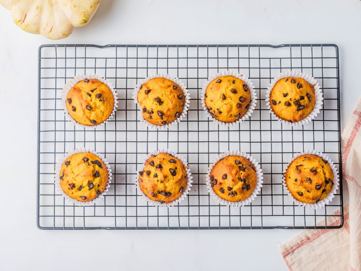 pumpkin muffins with sugar free chocolate chips