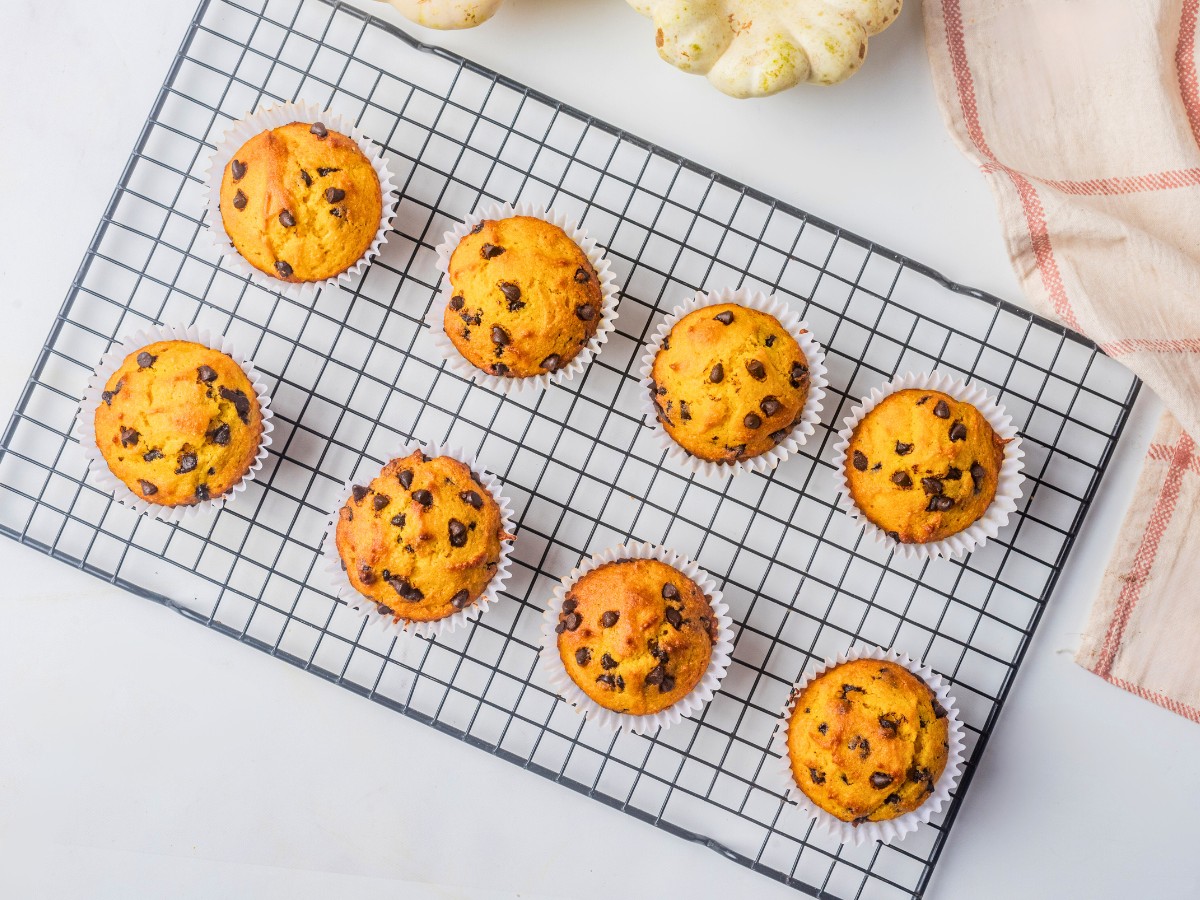 sugar free pumpkin chocolate muffins