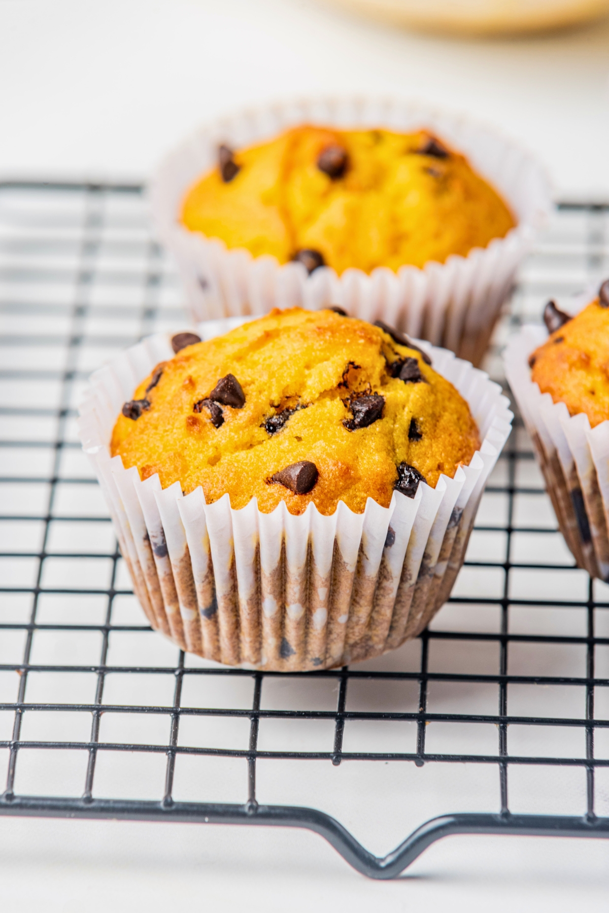 chocolate chip pumpkin muffins