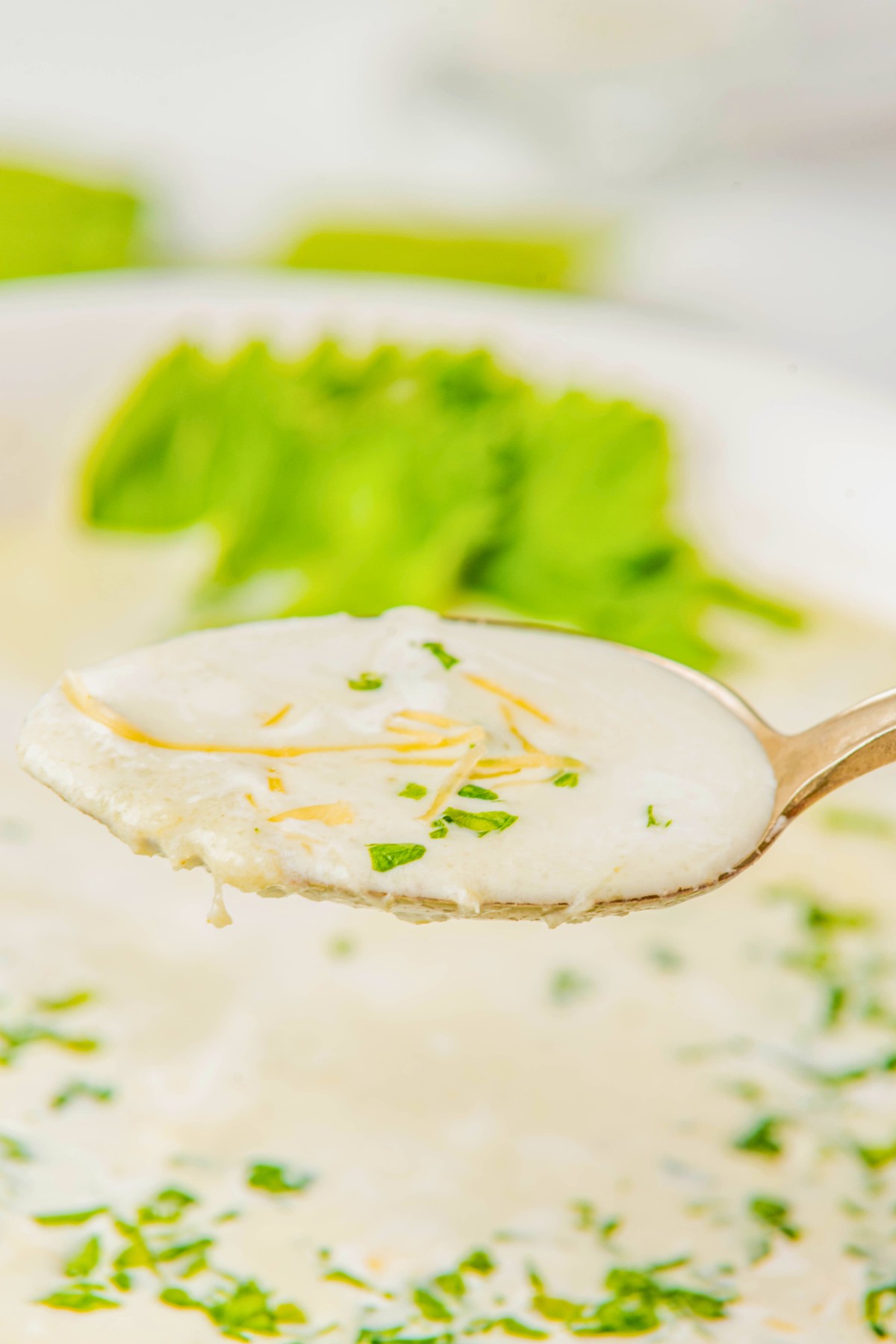 eating a spoonful of cheese celery soup