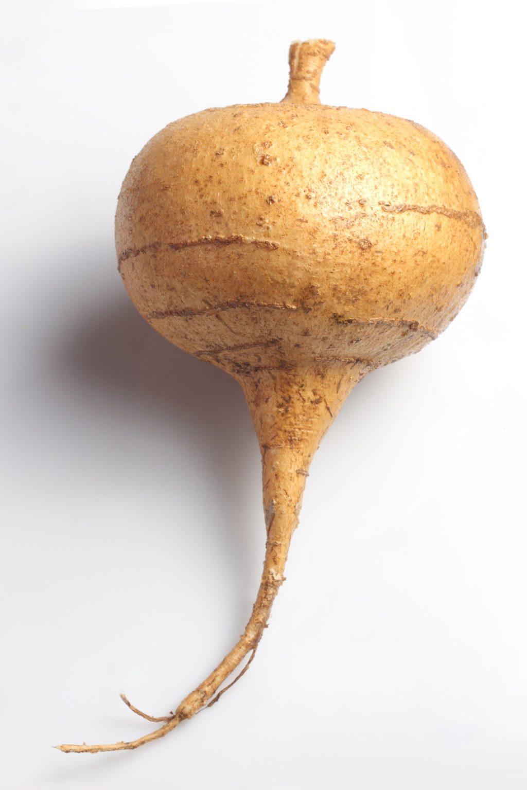 Is Jicama Keto? (+ LowCarb Recipes) Low Carb Yum