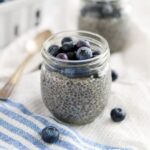 Blueberry Chia Seed Pudding Featured Image