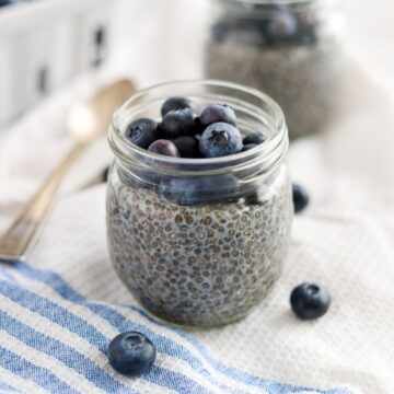 Blueberry Chia Seed Pudding Featured Image