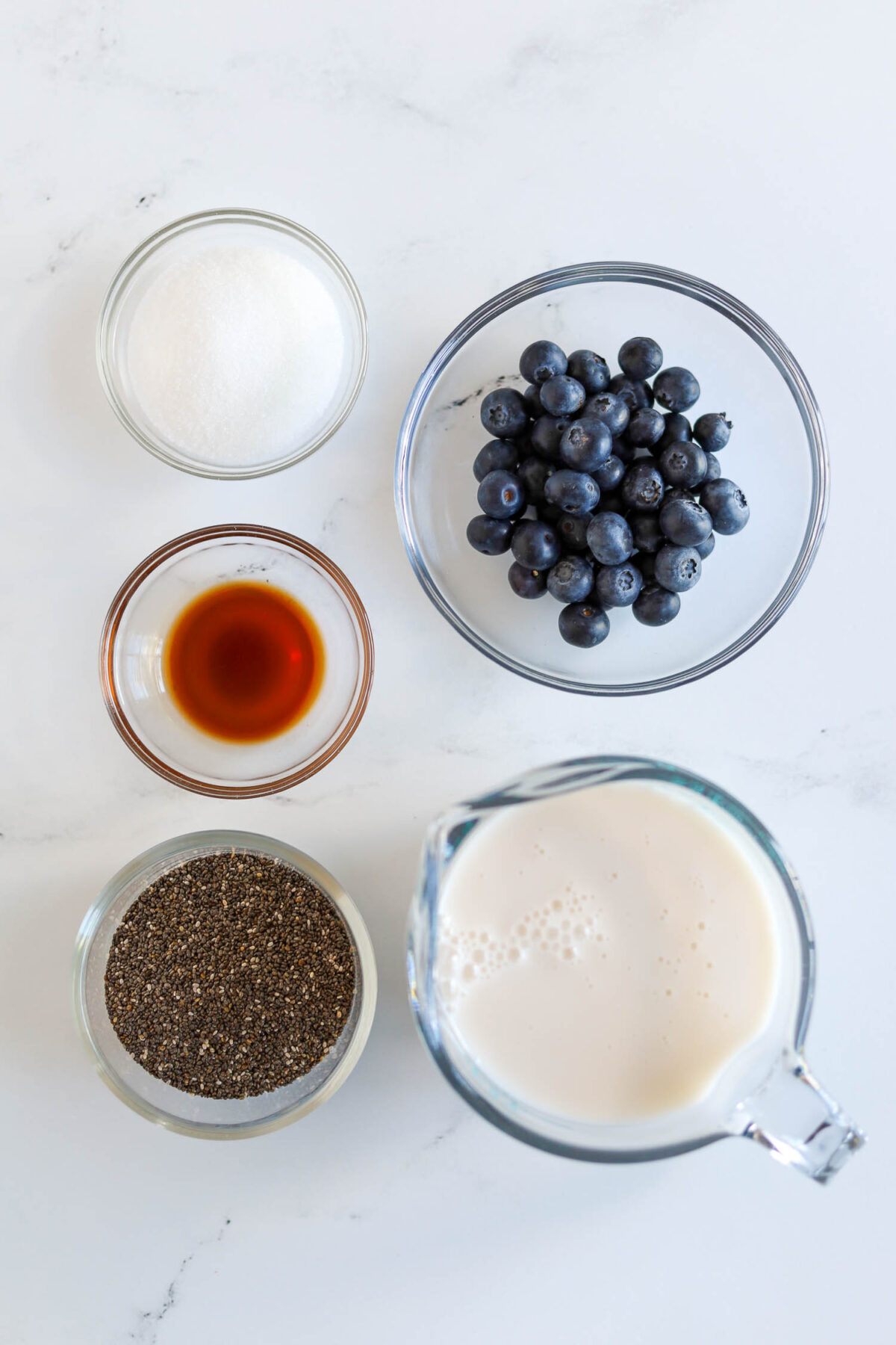 ingredients needed to make chia seed pudding